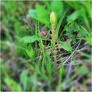 150783_458907150852629_319288107_n