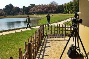 894872_559858157382372_935170855_o