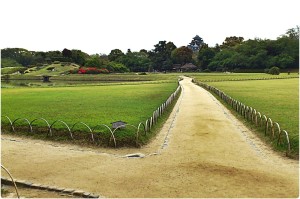 902661_564008830300638_821611185_o