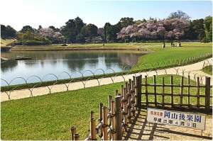 903718_558338870867634_90624015_o