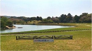 905312_560678767300311_2071007106_o