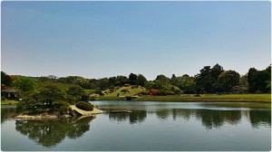 906959_562258370475684_1265701228_o