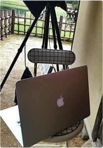 467035_570929379608583_1625800536_o