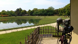 603725_568330429868478_470317363_n