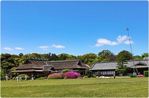 919871_570123053022549_136171250_o