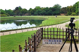 922090_571836702851184_2031903450_o