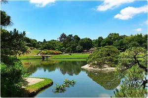 1009015_585466031488251_1515880101_o