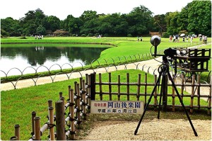 1025582_590482020986652_259829845_o