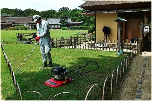 1040477_593086357392885_1097197098_o