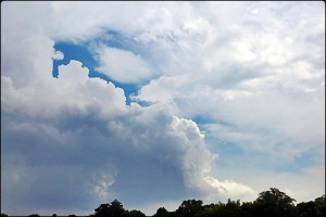 1064289_600102413357946_287585430_o