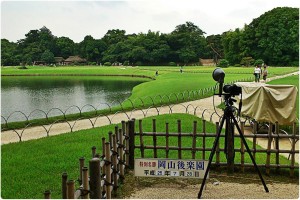 1074476_606759722692215_831436957_o