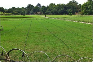 1078641_606881426013378_1206998200_o