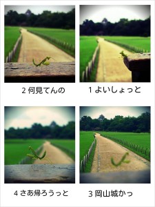 210651_601068639927990_826092318_o