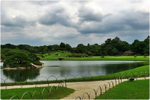 965693_602155626485958_1720370872_o