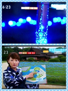 1078743_611020148932839_951982931_o