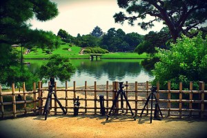 1091238_609616535739867_340379598_o