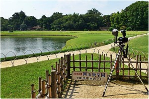 1093886_611642228870631_244301219_o