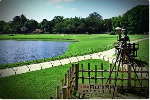 1271248_620748471293340_1645432497_o