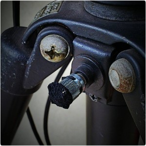 1048166_622650224436498_413537214_o