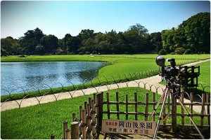 1266916_632033016831552_1953726592_o