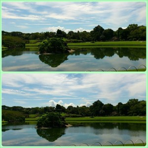 1268039_625216907513163_1004476983_o