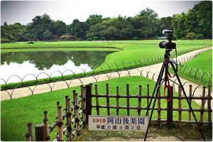 1275357_623383531029834_437372412_o