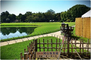 884343_631106456924208_519769589_o