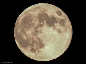 1799879_828830323818486_6115564698192424528_o