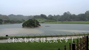 雷雨